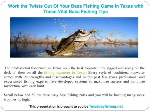 Work the Twists Out Of Your Bass Fishing Game in Texas with These Vital Bass Fishing Tips