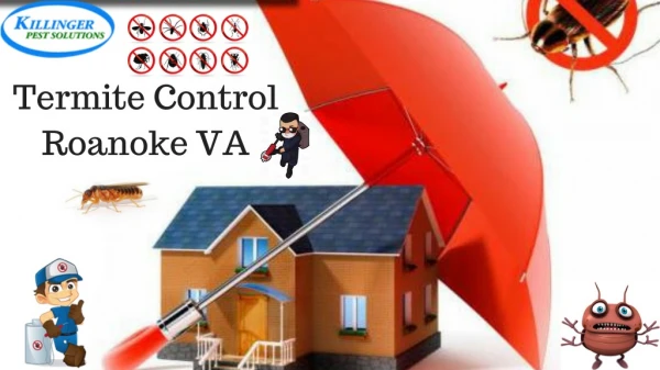Termite Control Roanoke VA | Pest Control Roanoke VA | Exterminator Roanoke VA