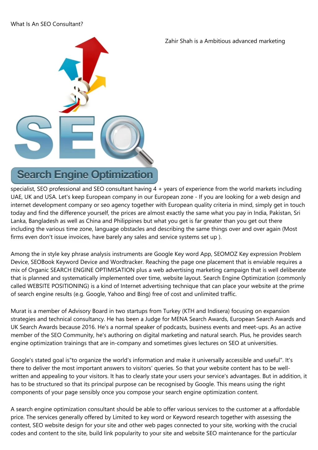 what is an seo consultant