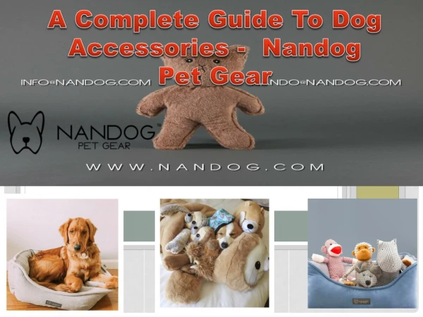 A Complete Guide To Dog Accessories - Nandog Pet Gear