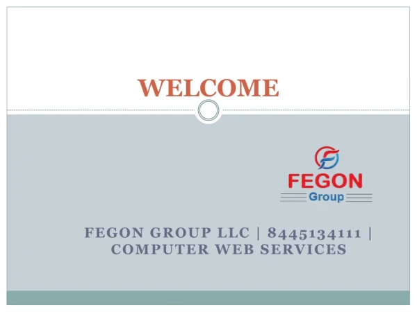 Fegon Group | 8445134111 | Computer Web Services
