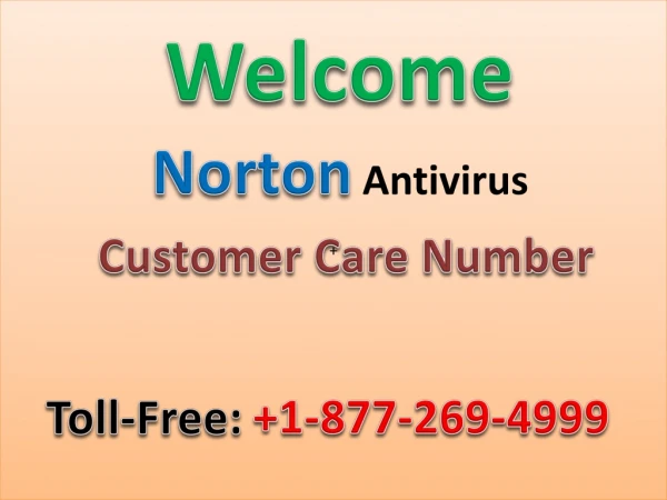 Norton Antivirus Customer Care Number USA 1-877-269-4999