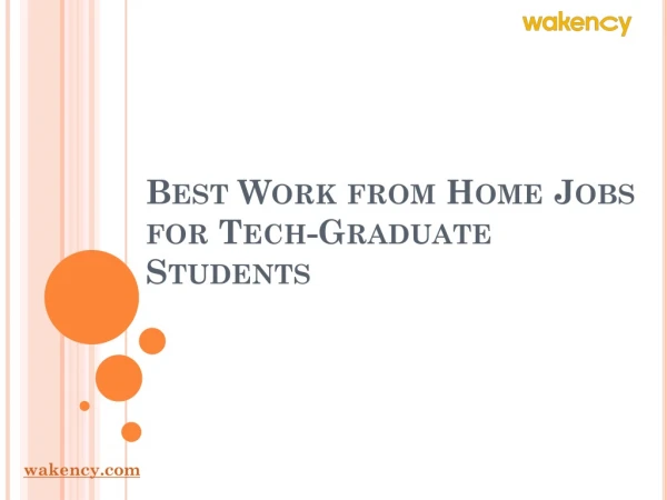 Best Work from Home Jobs for Tech-Graduate Students
