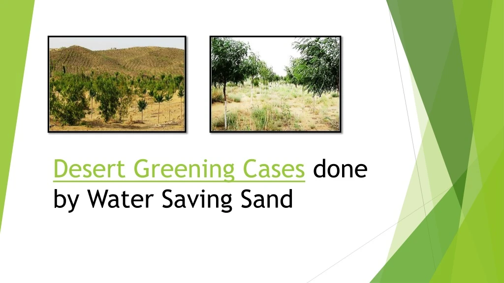 desert greening cases done by water saving sand