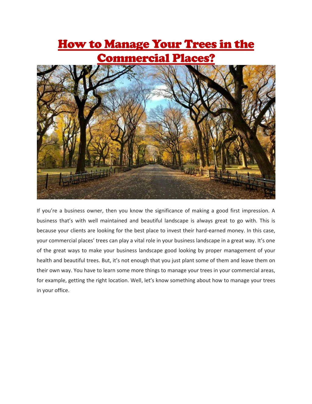 how to manage your trees in the commercial places