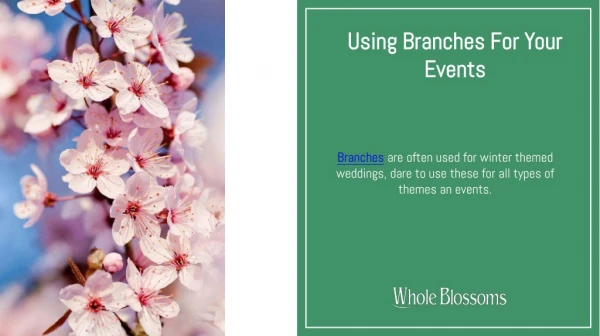 Get Wholesale Cherry Blossoms Branches for Special Occasions
