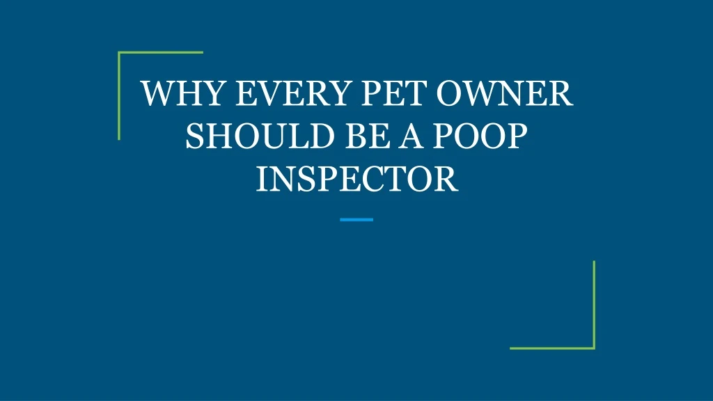 why every pet owner should be a poop inspector