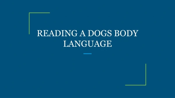 READING A DOGS BODY LANGUAGE