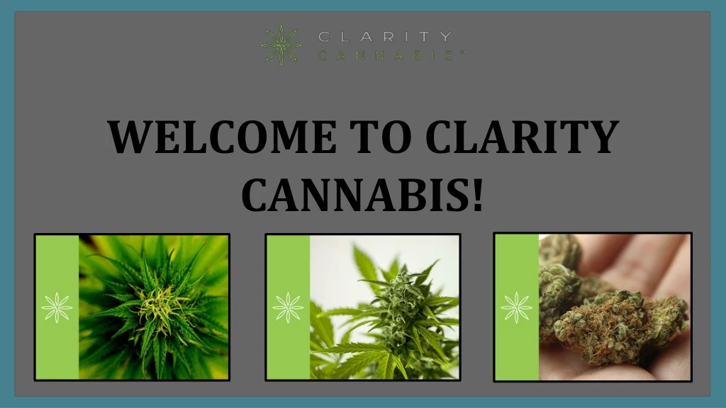 welcome to clarity cannabis