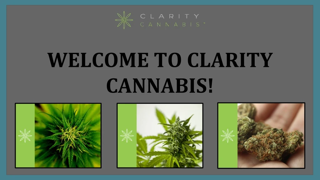 welcome to clarity cannabis