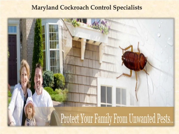 Maryland Cockroach Control Specialists
