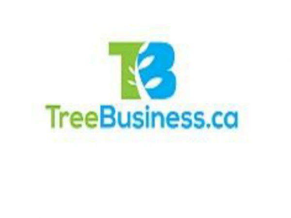 Best Tree Removal | Tree Services