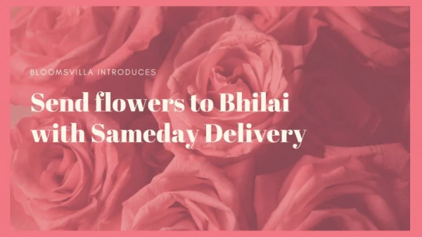 Bloomsvilla Introduces - Send Flowers to Bhilai with Sameday Delivery