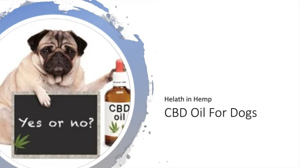 CBD Oil For Dogs - Health in Hemp