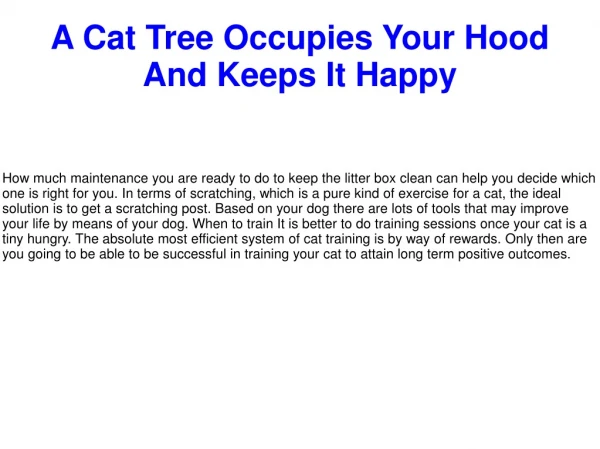 A Cat Tree Occupies Your Hood And Keeps It Happy