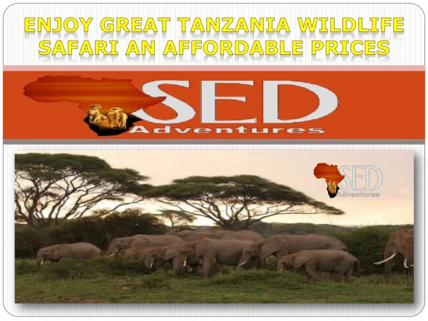 ENJOY GREAT TANZANIA WILDLIFE SAFARI AN AFFORDABLE PRICES