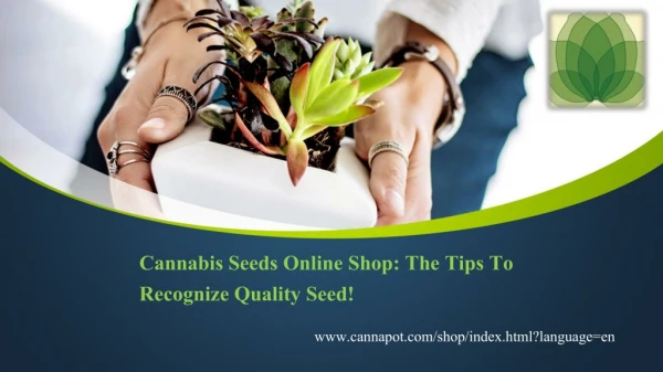 Cannabis Seeds Online Shop: The Tips To Recognize Quality Seed!