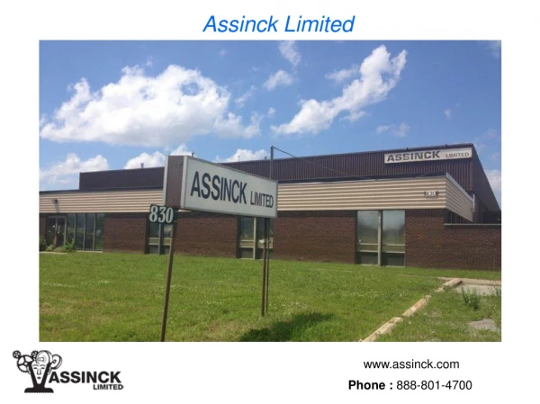 Assinck Limited