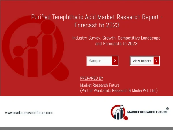 Purified Terephthalic Acid Market Growth Trends, Cost Structure, Driving Factors and Future Prospects 2023