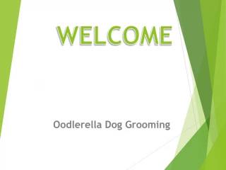 Affordable Dog Grooming in Highett - slide 1