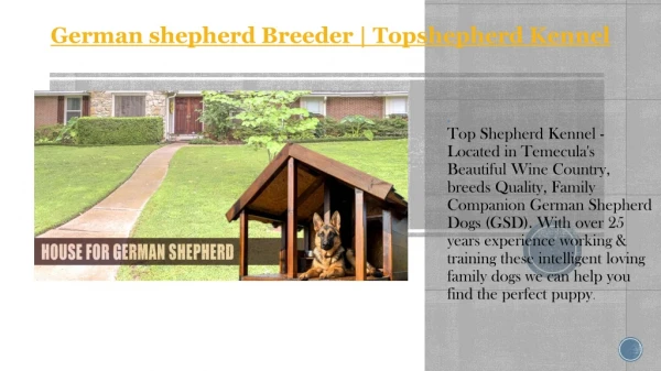 Best German shepherd breeders California | Topshepherd