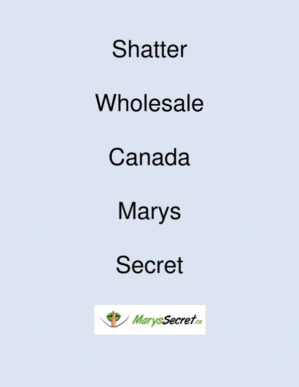 Shatter Wholesale Canada- Marys Secret