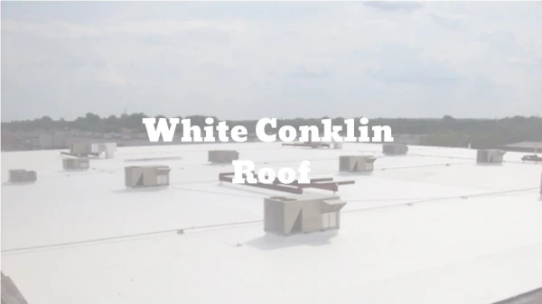 White Conklin Roof