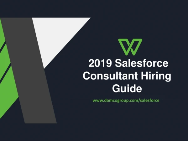 2019 Salesforce consultant hiring Guide
