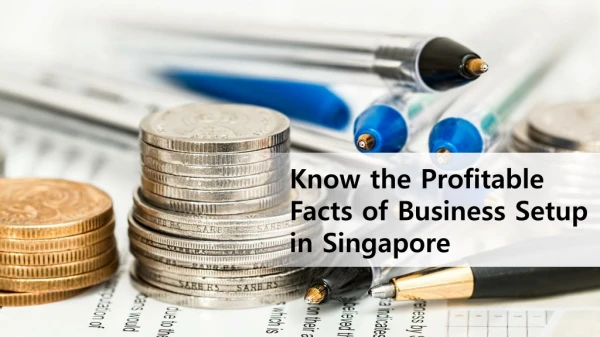 Know the Profitable Facts of Business Setup in Singapore