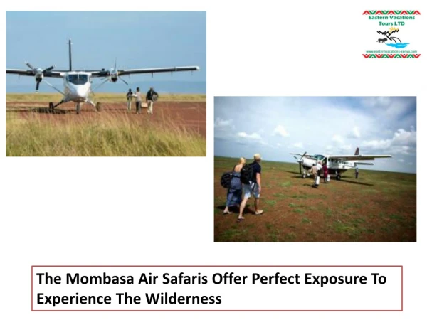 The Mombasa Air Safaris Offer Perfect Exposure To Experience The Wilderness