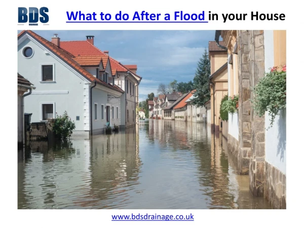 What to do after flood in your house.