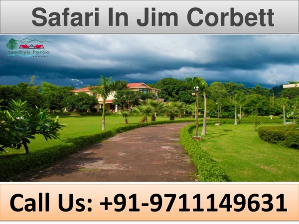 Safari In Jim Corbett