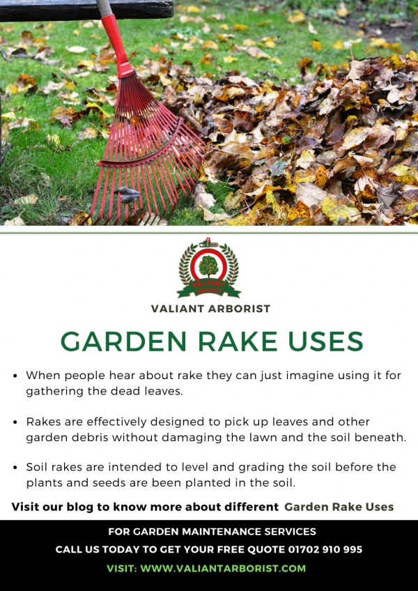 Garden Rake Uses in 2019