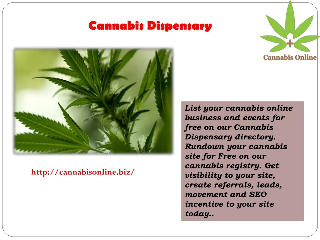 cannabis dispensary