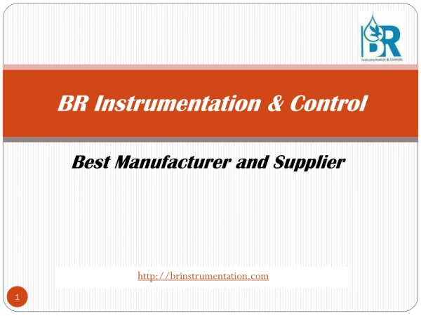 Best Manufacturer & Supplier- BR Instrumentation & Controls