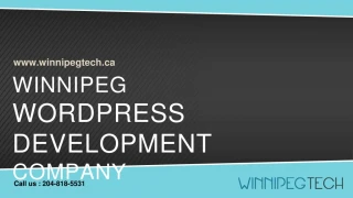 Winnipeg Wordpress Development Company - slide 1