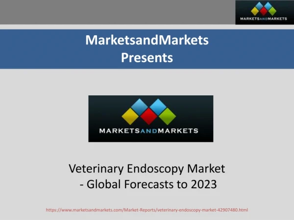 Veterinary Endoscopy Market