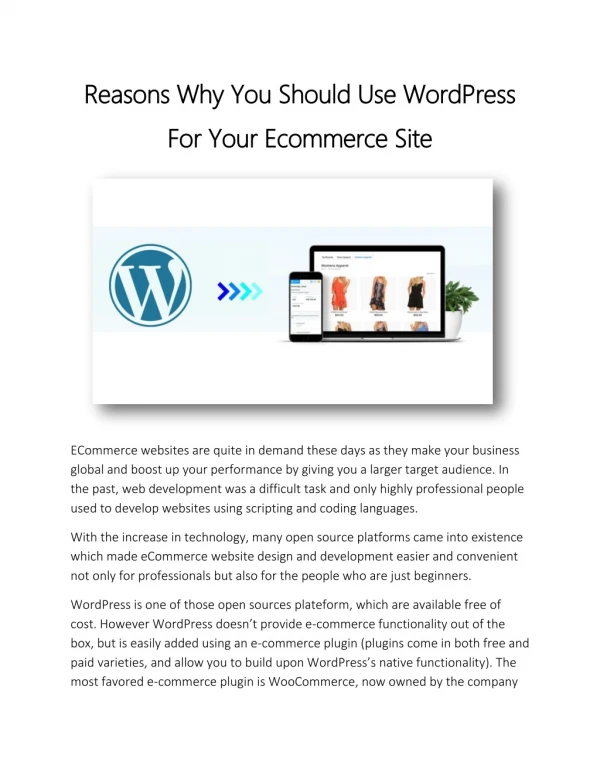 Reasons Why You Should Use WordPress For Your Ecommerce Site