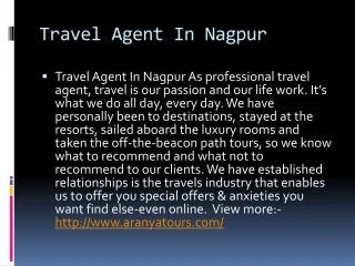 Travel Agent In Nagpur