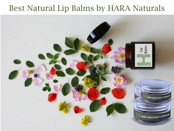 Hara Naturals Lip Balm: Many Benefits with The Easiest Way To Use to Get the Quickest Result