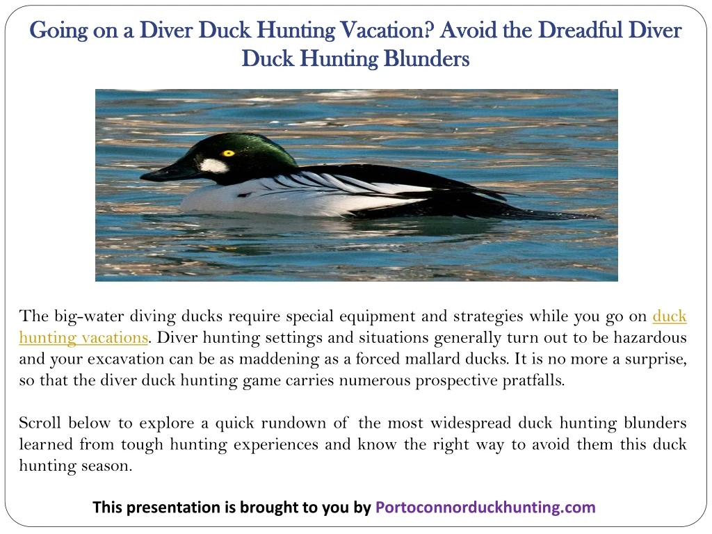 going on a diver duck hunting vacation avoid