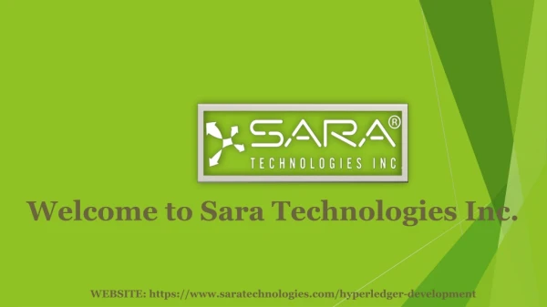 Hyperledger Development Company | Services - Sara Technologies