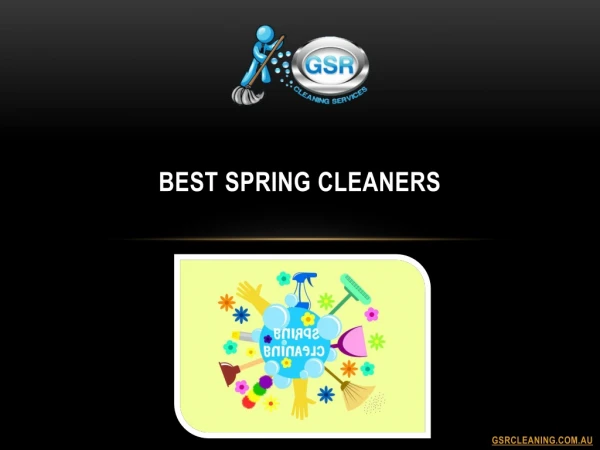 Best Spring Cleaners
