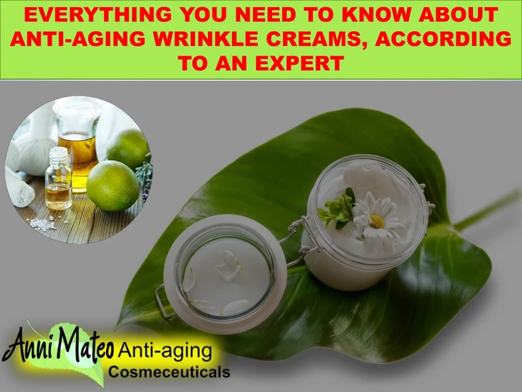 everything you need to know about anti aging