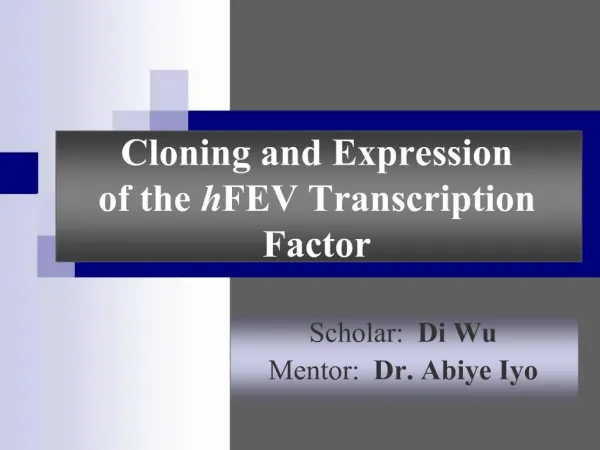 Cloning and Expression of the hFEV Transcription Factor