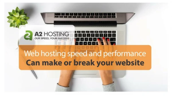 The Importance of Web Hosting Speed and Performance For Your Website