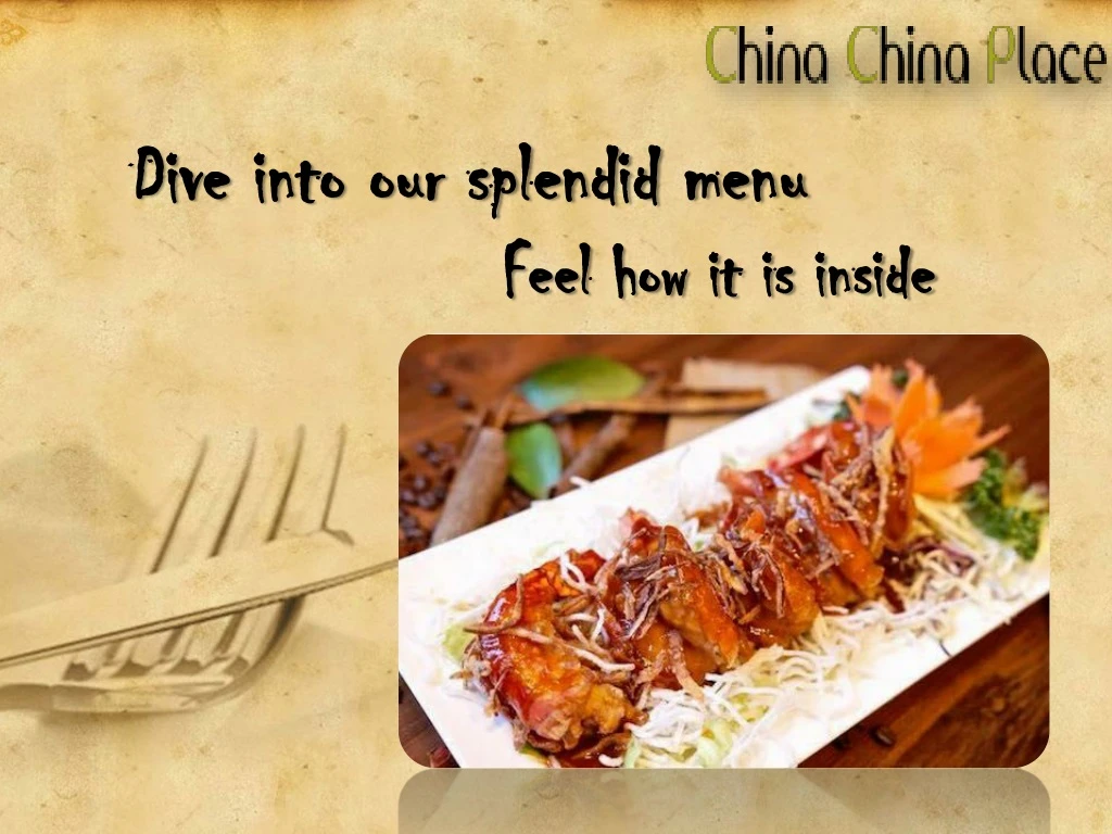 dive into our splendid menu