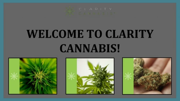 History of Cannabis | Clarity Cannabis