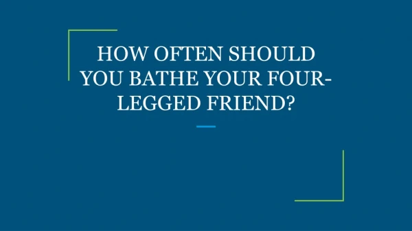 HOW OFTEN SHOULD YOU BATHE YOUR FOUR-LEGGED FRIEND?