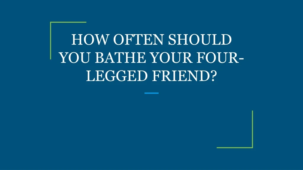 how often should you bathe your four legged friend